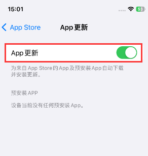 桥西苹果15维修中心如何让iPhone15APP自动更新